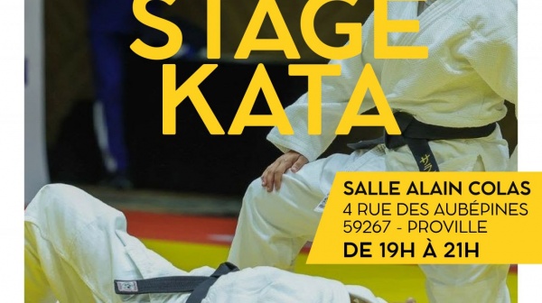STAGE KATA LE 16 OCTOBRE A PROVILLE